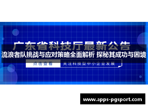 流浪者队挑战与应对策略全面解析 探秘其成功与困境