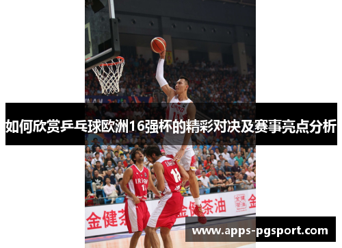 如何欣赏乒乓球欧洲16强杯的精彩对决及赛事亮点分析
