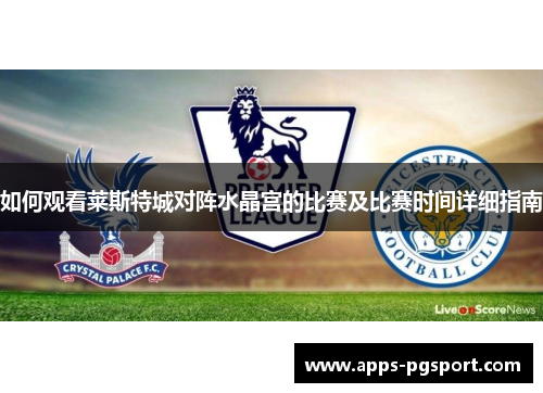 如何观看莱斯特城对阵水晶宫的比赛及比赛时间详细指南