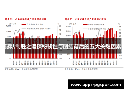 球队制胜之道探秘韧性与团结背后的五大关键因素