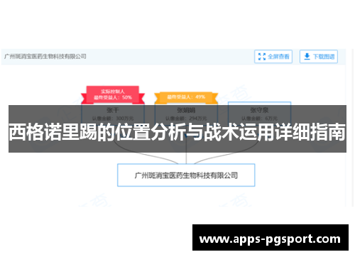 西格诺里踢的位置分析与战术运用详细指南