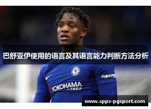 巴舒亚伊使用的语言及其语言能力判断方法分析