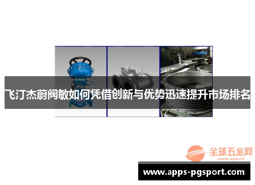 飞汀杰蔚阀敏如何凭借创新与优势迅速提升市场排名